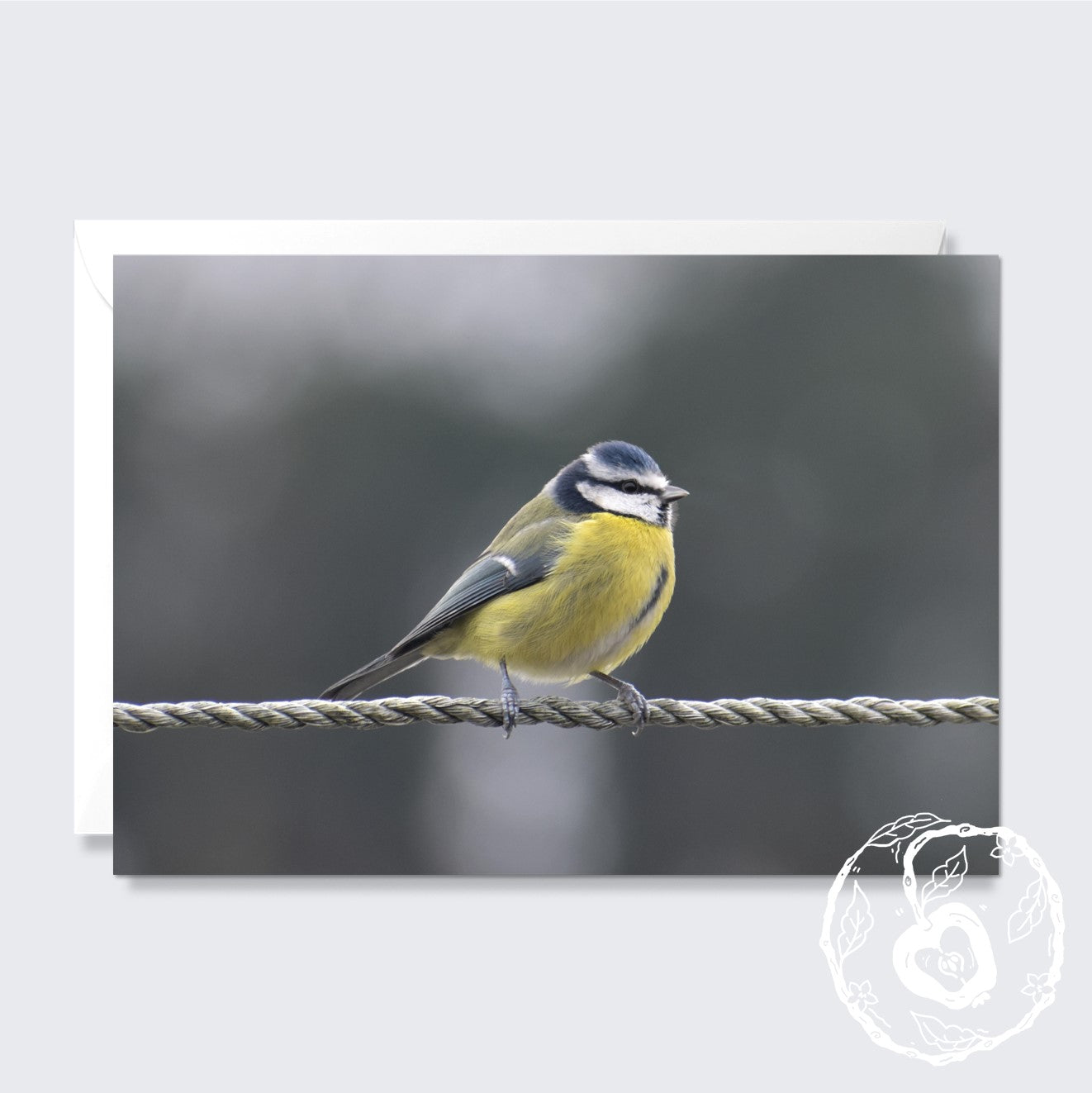 Blue Tit - Greetings Card