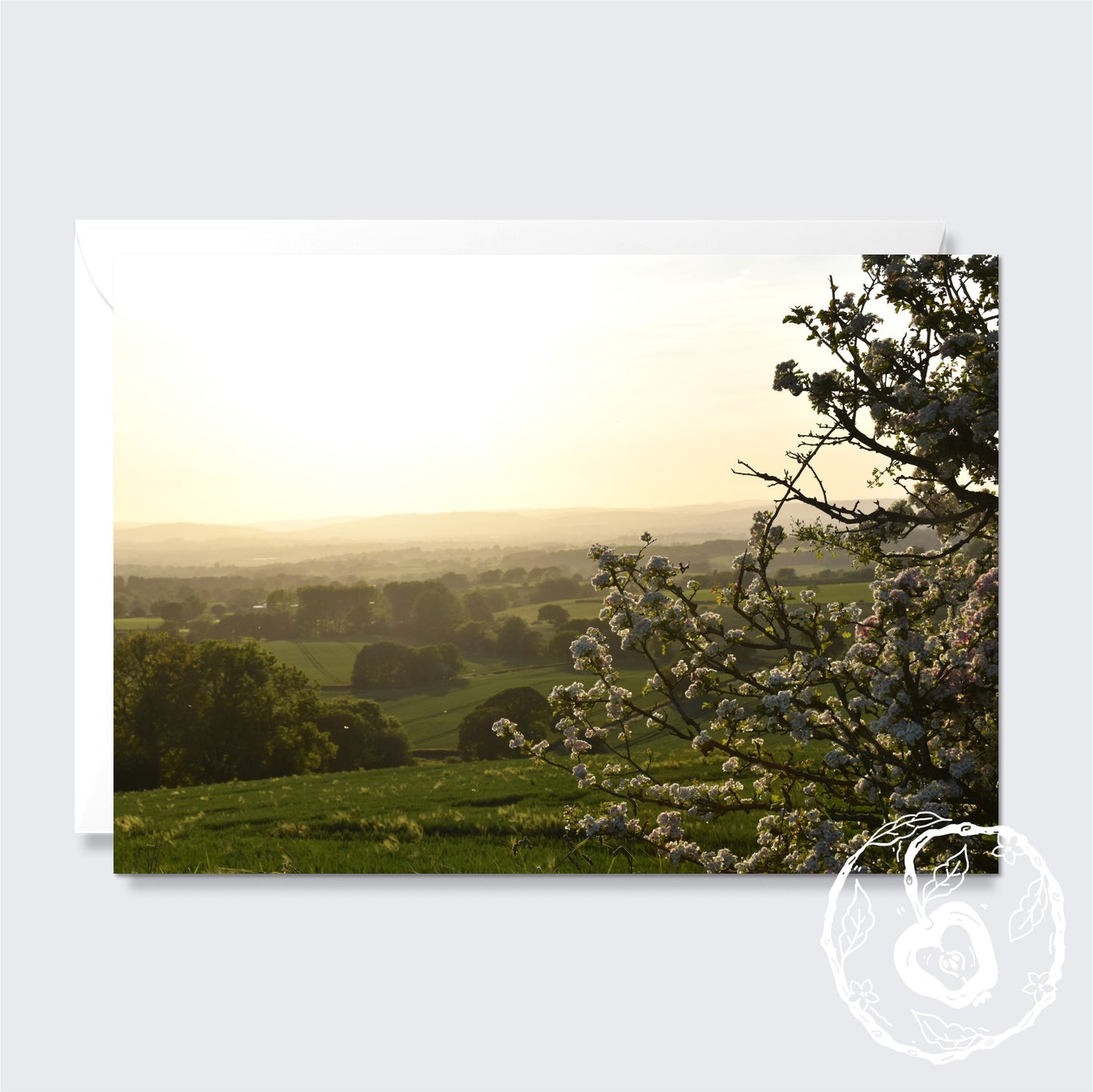 Blossom at Sunset - Greetings Card