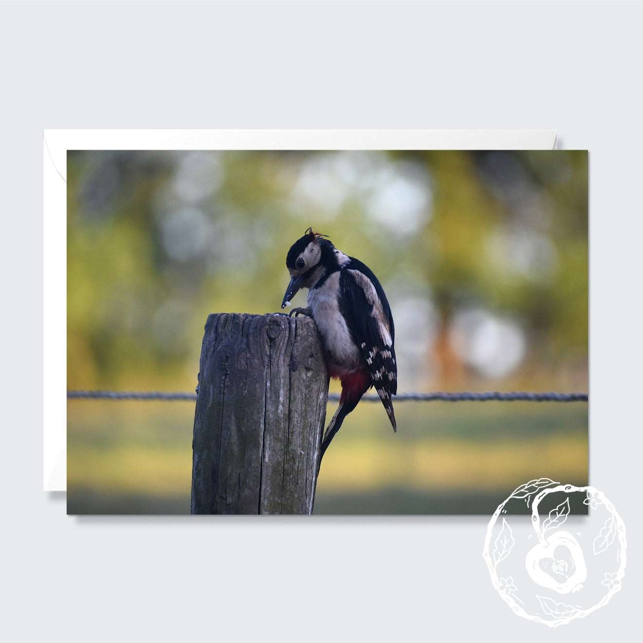 Woodpecker - Greetings Card