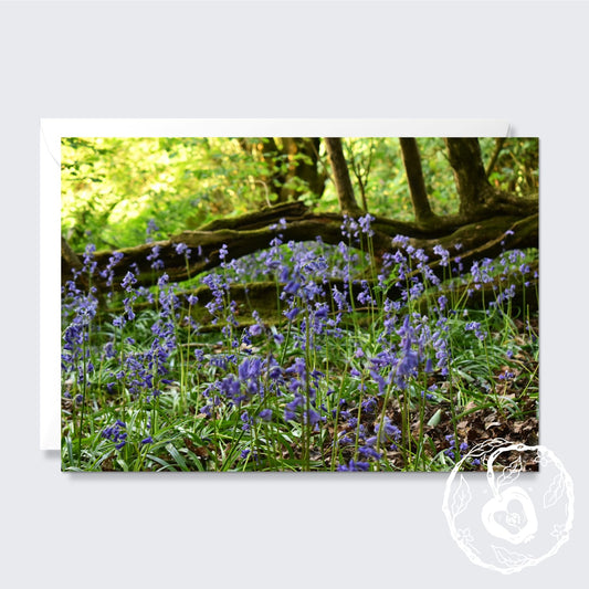 Bluebell Wood - Greetings Card
