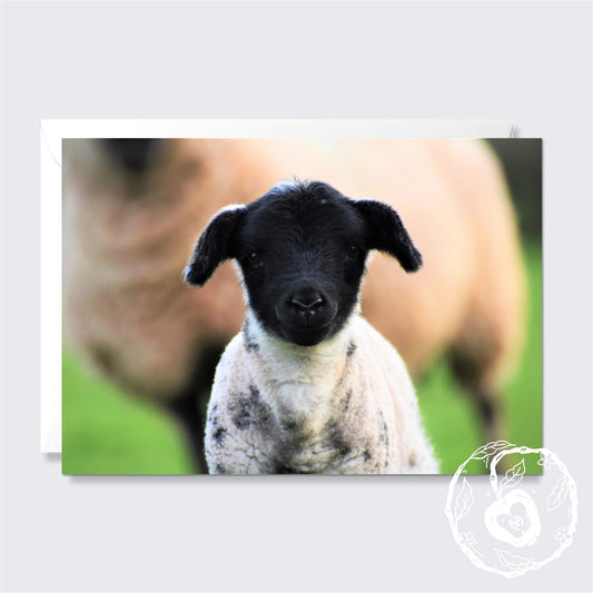 Happy Little Lamb - Greetings Card