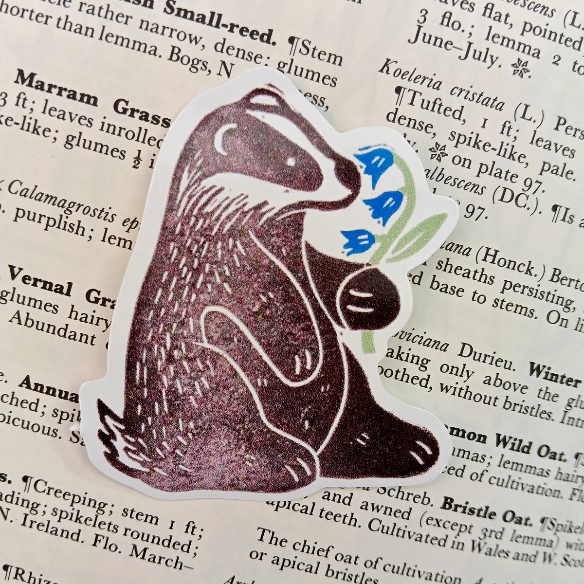 Brock the Badger - Sticker
