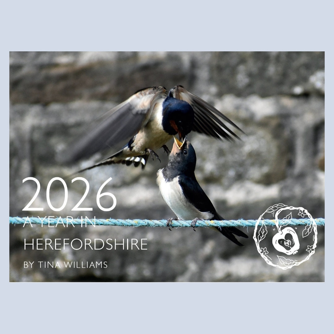 'A Year in Herefordshire' 2026 Calendar
