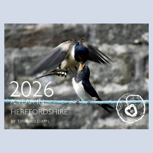 'A Year in Herefordshire' 2026 Calendar