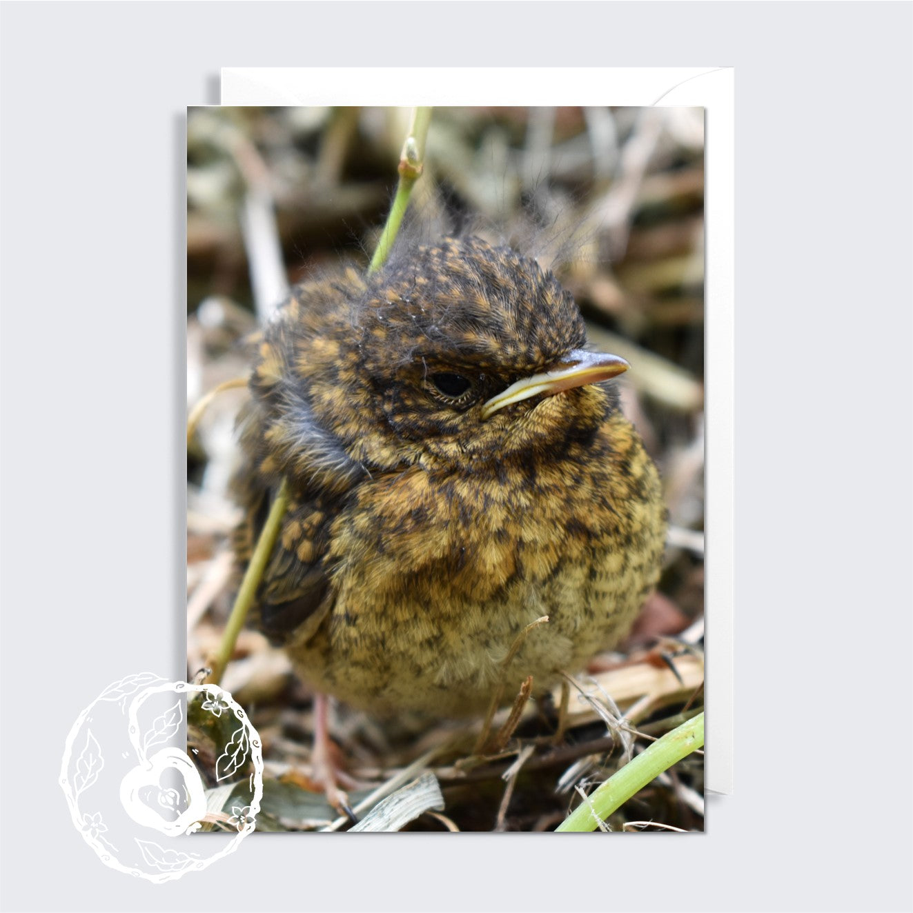 Baby Robin - Greetings Card