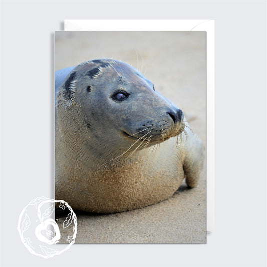 Common Seal - Greetings Card