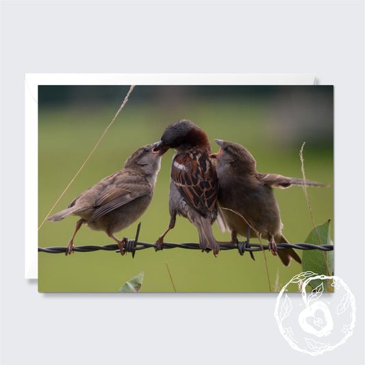 Squabbles at Suppertime - Greetings Card