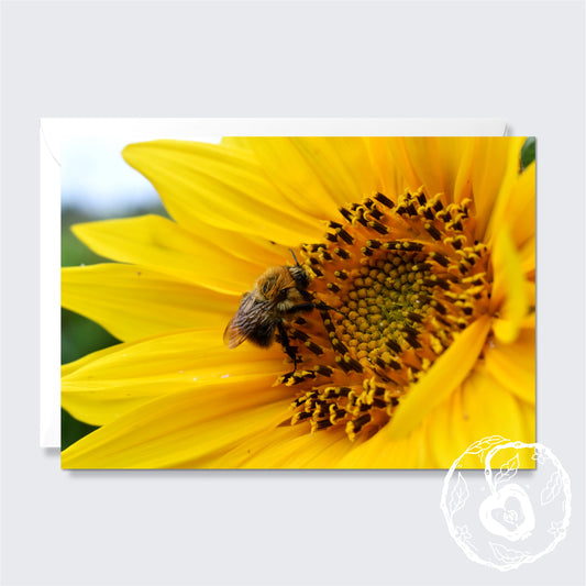Bee & Sunflower - Greetings Card