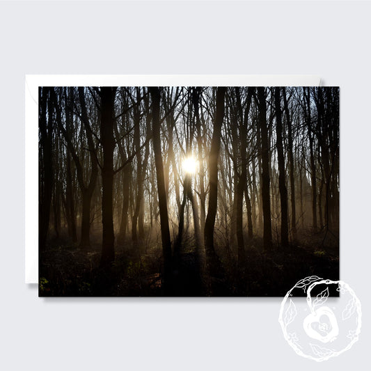 Woodland Sunrise - Greetings Card